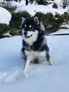 怒涛の１年間・・・のサムネイル画像