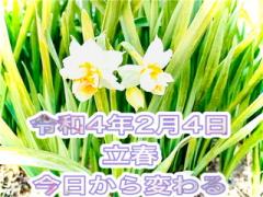 ḾIR4.2.4.̂̃TlC摜