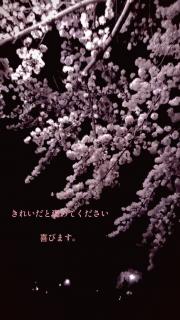 きれいと褒めてくださいのサムネイル画像