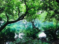 幸せってなあに？のサムネイル画像