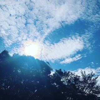 一日参りのサムネイル画像