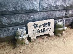 󌱂̃TlC摜