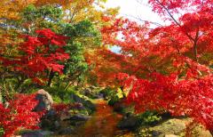 秋といえば…のサムネイル画像
